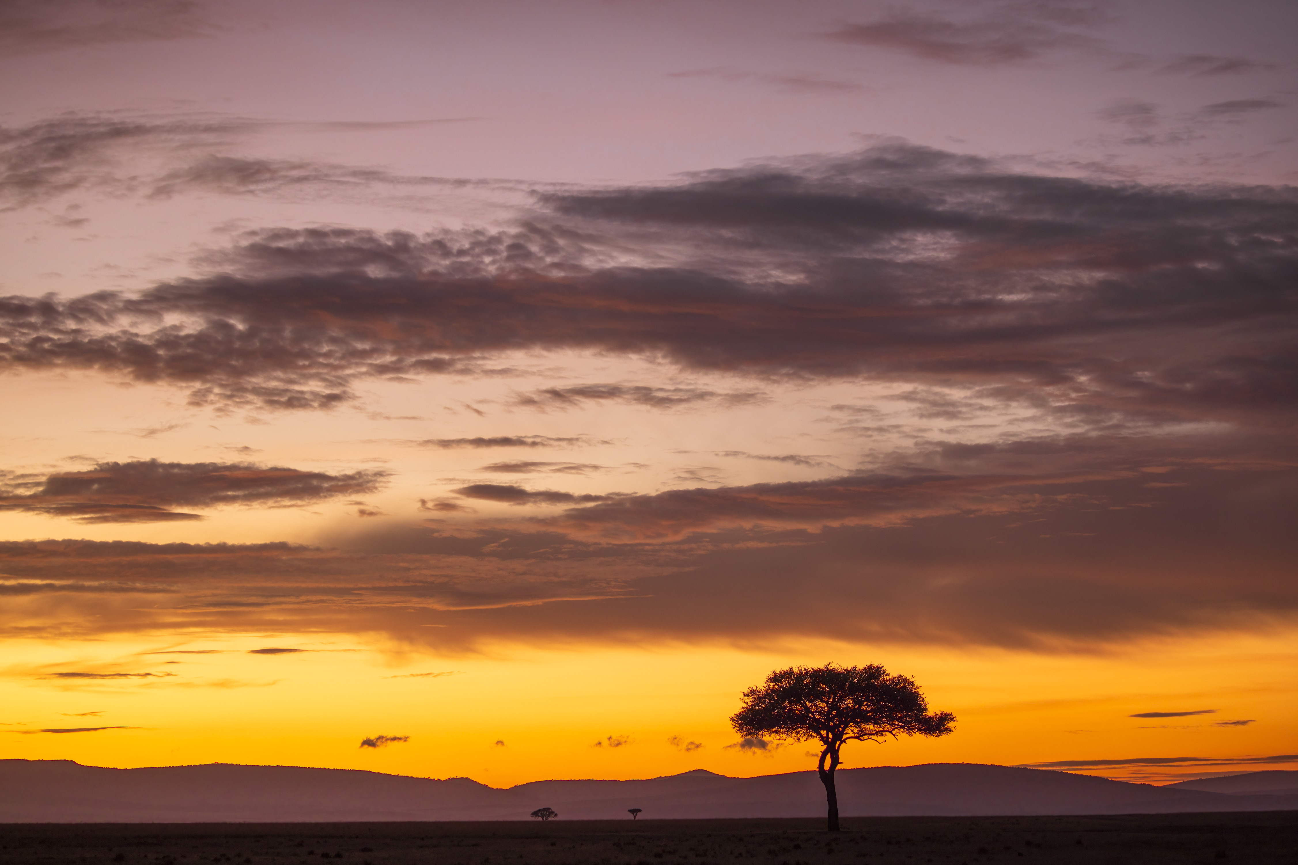 November 12, 2022-055502-Edit.jpg